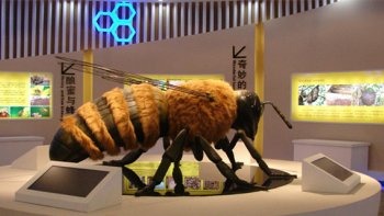 
Un musée à ouvert ses portes à trente minutes de à Neuf Berquin : à l'initiative de la famille Lapi, cet établissement offre un parcours découverte à tous ceux et à toutes celles qui souhaitent mieux connaitre ces petits bêtes qui produisent chaque année des millions de litres de miel.