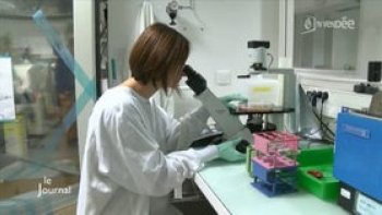 thérapie génétique