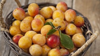 TARTE AUX MIRABELLES FLAMBÉES