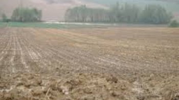 En Alsace, les intempéries ont perturbé les récoltes agricoles