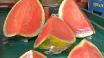 
La saison estivale arrive et avec elle, les fortes chaleurs. Ainsi, pour se préserver des températures extrêmes, l'essentiel est d'avoir une alimentation adaptée qui permet au corps de s'hydrater en profondeur.
