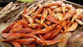 En méditerranée existe une île, emplie de la rumeur de l'Histoire. Il s'agit de Minorque, deuxième plus grande île des Baléares ! Petite par la taille, seulement 694 km², Minorque est emplie de lieux uniques et époustouflants, en plus d'être le deuxième plus grand port de Méditerranée.