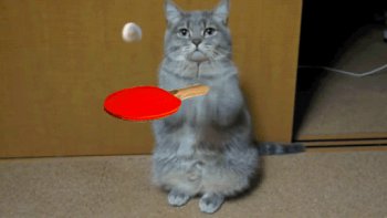 Il faut savoir partager, n'est-ce pas ?