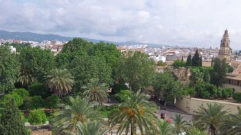 Venez découvrir l'Andalousie avec ses paysages magnifiques (Sevilla, Cordoba, Granada et Cadix). Admirez les jardins a l'Espagnol avec entre autres ses palmiers et ses fontaines. Retrouvez les patios, ruelles et placettes joliment blanchies dans un style si typique à Cordoue. La mosquée Cathédrale de Cordoue  est le monument le plus important de tout l’occident islamique, et un des plus impressionnants.