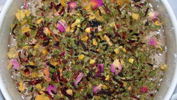 plantes médicinales