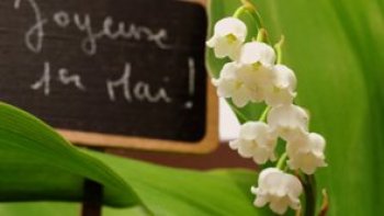 Ce doux poème nous est proposé par notre ordissinaute Josiane. Il est tout particulièrement d'actualité puisqu'il évoque le 1er mai. C'est la fête du travail mais aussi, et surtout la fête du muguet.