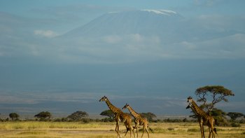 Devenez enquêteur et découvrez où a été prise la photo du jour ! Tous les moyens sont bons pour trouver... recherchez dans le dictionnaire, sur internet, ou dans vos photos personnelles et déposez en commentaire votre réponse. Au fur et à mesure de vos retours, nous vous donnerons d'autres indices...