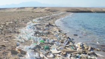 Le constat autour de l'influence de l'homme sur les mers et océans est alarmant, mais savons-nous réellement pourquoi ? Si des solutions concrètes sont finalement rarement évoquées, il en existe. Lesquelles semblent les mieux adaptées aux enjeux d'aujourd'hui ? A l'occasion du Festival Sciences & Fictions, le point est fait sur cette thématique sensible mais indispensable.