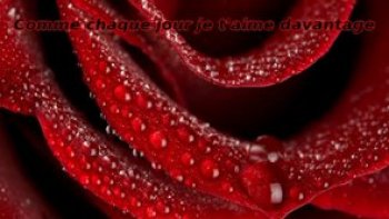 Comment dire tout l'amour que l'on porte à une personne ? Il suffit d'un peu de couleurs, quelques mots et les plus belles photographies. Oui, c'est si beau de vieillir... ensemble, un message envoyé par notre Ordissinaute Josiane qui a voulu nous faire partager certains passages du poème de Rosemonde Gérard intitulé "Lorsque tu seras vieux".