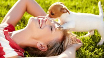 La violence est de partout, gratuite, pour le plaisir...