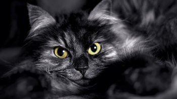 Un peu d'humour avec ce nouveau texte de notre ordissinaute Fayane.