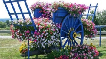 Découvrez de splendides charrettes en tous genres ! Ces charrettes ont la particularité d'être fleuries et colorées. 