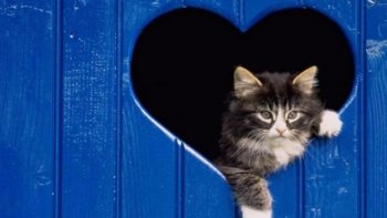 Sous le titre évocateur de "La gentillesse...", notre amie Poupette nous transmet ce petit message sans prétention aucune sous la forme d'une vidéo, et vient simplement nous rappeler que cela ne fait pas de mal de partager un peu de gentillesse avec les personnes qui nous sont chères...