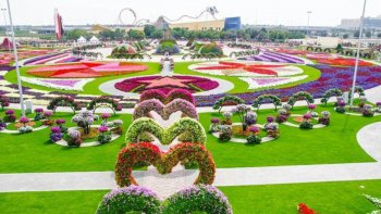 DUBAI, le plus beau jardin de fleurs