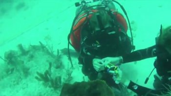 Le petit fils du Commandant Cousteau a passé 31 jours sous l’eau à Islamorada au sud de la Floride ! Le 2 juillet 2014, Fabien Cousteau remontait à la surface...