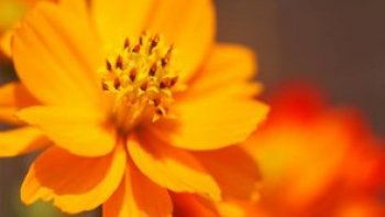 Découvrez le dernier poème de notre ordissinaute Josiane "Petit garçon". A la fois poignant et un brin nostalgique, ce poème vous bercera...