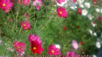 Josiane, une fidèle ordissinaute, joue avec sa plume pour vous offrir un magnifique poème sur la thématique des générations. Un poème émouvant, sensible et sentimental sur un fond floral et musical.
