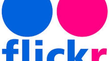 Logo Flickr 