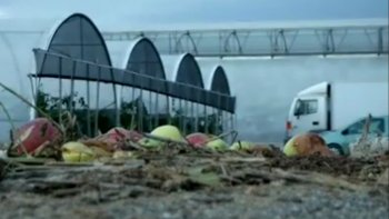 Au lendemain des impressionnantes inondations qui ont touché l'Hérault, pour beaucoup de professionnels, il est l'heure de constater les dégâts.