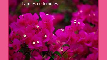 Ce poème qui nous est partagé par notre amie Cricri s'intitule "Pourquoi les femmes pleurent". C'est sur une musique très douce et très apaisante que défilent des magnifiques images et donc ce fameux poème.