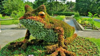 Le Jardin botanique de Montréal est l’un des plus beaux et importants jardins botaniques du monde, s’étendant sur 75 hectares, avec une collection de 22 000 espèces et plantes, 10 serres et une trentaine de jardins thématiques. Il accueille également des expositions temporaires, comme les Mosaïcultures Internationales de 2013. Découvrons le magnifique diaporama partagé par notre ordissinaute Poupette.