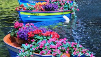 Envie de douceur et de belles images ? Ce diaporama partagé par notre ordissinaute Cricri offre un moment de pure détente en nous présentant la beauté du monde, les couleurs chatoyantes de la nature, la splendeur des animaux... Le tout accompagné d'une musique gaie et relaxante.