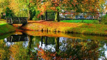 Ce magnifique poème qui s'intitule "L'été indien" nous est écrit par notre amie Doris. Un poème rempli de soleil qui fait du bien.