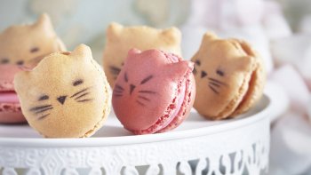 La Maison Lenôtre accueille pour la rentrée une collection éphémère de macarons chat "Badou Badou" signées Élodie Martins, auteur et créatrice de délices, avec la complicité de Guy Krenzer, son Directeur de la Création. La pâtissière sera l'invitée spéciale d'ateliers animés à l'École Lenôtre... So yummy ! À découvrir dès à présent ! 
Cet article Lenôtre x Élodie Martins : &laquo;&nbsp;Chat alors&nbsp;&raquo; ! est apparu en premier sur Ma Sérendipité.
