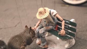 Depuis très longtemps, les marionnettes exercent un pouvoir de fascination. A travers cet article, découvrez d'où vient le terme "marionnette" et l'histoire des marionnettes en France. Vous aurez également le plaisir d'admirer une marionnette en vidéo grâce à Cricri qui nous a partagé ce moment unique.