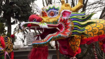 L'année 2014 du calendrier chinois débute le vendredi 31 janvier en Chine à 5h39 am heure de Beijing (le jeudi 30 janvier en Amérique et en Europe) pour se terminer le 19 février 2015.
Le 31 janvier 2014 débute en Chine l'année du Cheval de Bois.