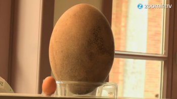 oeuf de 100 00 euros