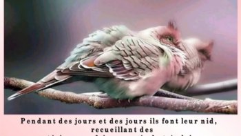 Face à l'adversité, il ne faut jamais se décourager. Continuer à avancer est source d'espoir.