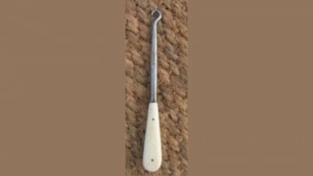 photo mystère n°42