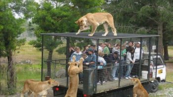 Ce diaporama est une succession de photos insolites en tout genre.  On y retrouve tous les thèmes. Drôles, émouvants, surprenants, hors du commun. Tout y passe pour vous en mettre plein les yeux.