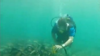 Une nouvelle extraordinaire va peut être changer notre façon de percevoir l'histoire du bateau Santa Maria. En effet, des archéologues ont retrouvé l'épave d'un bateau sous les mers qui pourrait bien être le Santa Maria, le célèbre bateau de Christophe Colomb.