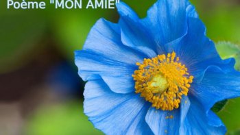 Notre amie Josiane nous écrit encore un de ses magnifiques poèmes. Celui ci est dédié à une amie et s'intitule très sobrement "Mon amie". Toujours aussi délicat, ce poème nous berce de douceur.
