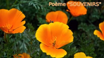 Ce poème intitulé « Souvenirs » nous est gentiment proposé par l’ordissinaute Josiane. Elle laisse sa plume la guider pour nous offrir une magnifique poésie liée au temps qui passe et les souvenirs qui restent.