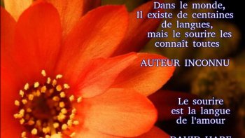 Ce poème qui nous est partagé par notre ordissinaute Cricri nous invite à la joie. La musique et le diaporama de fond sont très doux et nous emportent dans un pays enchanteur...