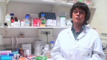 Nous allons ici nous intéresser à une maladie dont le nom nous évoque sûrement quelque chose mais que finalement peu de personnes savent décrire, il s'agit de la tuberculose.