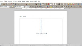 vignette definir les marges