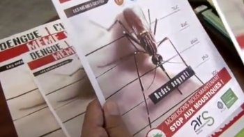 Le chikungunya fait encore des victimes aux Antilles. Les chiffres ne sont pas trop divulgués en France. Les infrastructures touristiques ont peur de subir le même sort que celles de la Réunion en 2006.