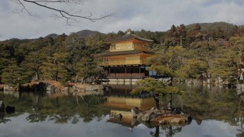 Tokyo, magnifique ville du Japon avec ses restaurants typiques, ses hauts gratte-ciels et décorations traditionnelles.