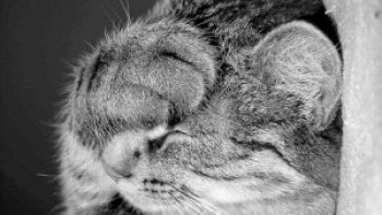 Faire la paix avec son passé, c'est accepter une fois pour toutes qu'on ne peut le changer...