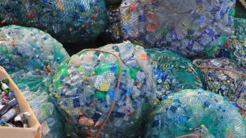 Une solution contre la pollution ? Des scientifiques ont accidentellement créé des enzymes mutantes qui dévorent le plastique ! C'est dans une déchetterie au Japon que la bactérie a fait pour la première fois ses preuves. C'était en 2016. Aujourd'hui les chercheurs veulent aller plus loin.