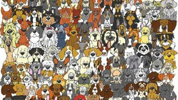 Comme tous les samedis, voici la nouvelle devinette d'Ordissinaute :
Saurez-vous retrouver le panda caché parmi les chiens ? Vous pouvez donner votre RÉPONSE EN COMMENTAIRE. ON VOUS DONNERA LA SOLUTION LA SEMAINE PROCHAINE.
BONNE CHANCE À TOUS !