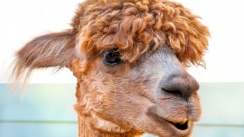 Des cons il y en a tant ...Aujourd'hui une première partie... N'hésitez pas à laisser un commentaire si vous avez d'autres idées.