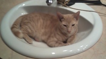 impulsion passagère