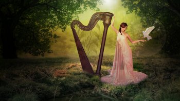 Bonjour l'automne !cette fois il est  arrivé, attendu pour les uns, ..... ou redouté, en raison  des futurs frimas..préfigurés............