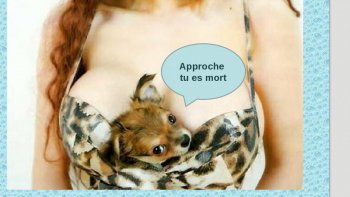 Quand nos petits amis,  s'expriment.......AH! si seulement ils le pouvaient de vrai!