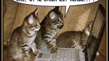 La petite famille Chat que je vous présente, je l'espère va vous faire passer un bon moment. Cette famille est sortie de ma tête, j'aimerais qu'elle entre en votre cœur après vous avoir fait sourire quelques instants. Voici mon 2ème Diaporama ... ? ...